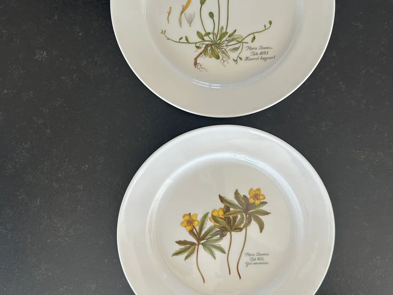 Billede 3 - 10 stk Flora Danica platter/tallerkener