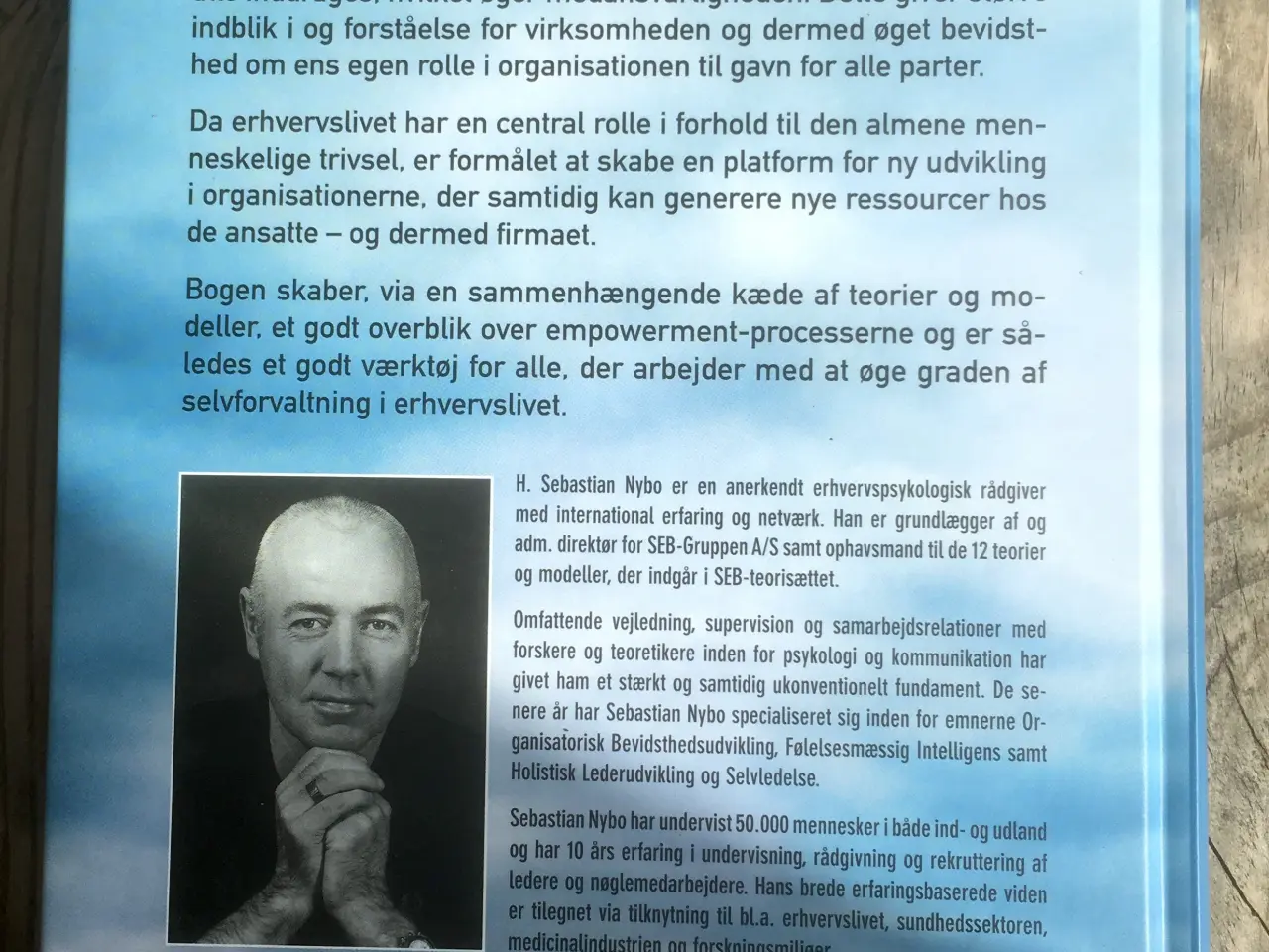 Billede 2 - Det indre lederskab, Sebastian Nybo