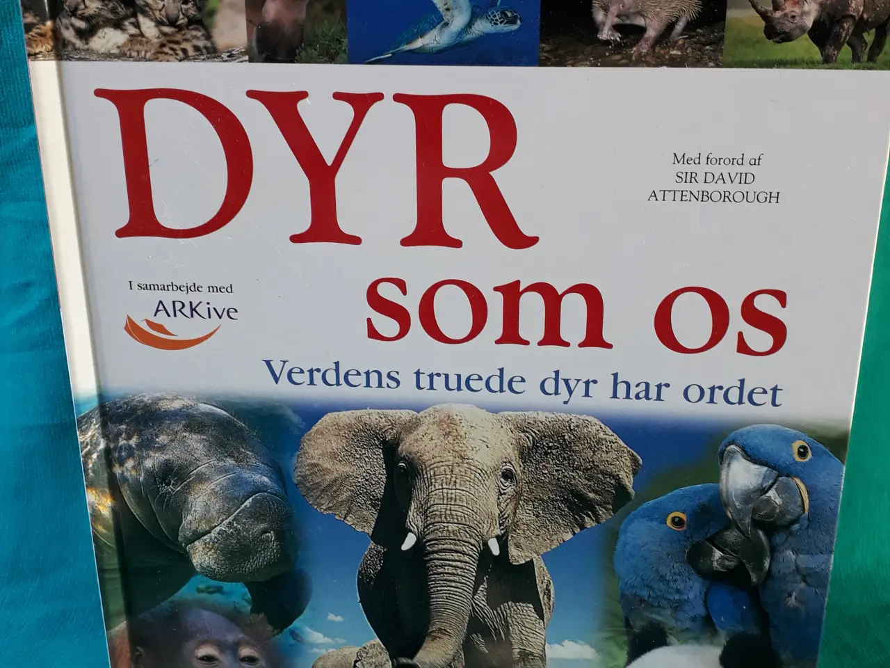 Billede 1 - Dyr som os - Bog