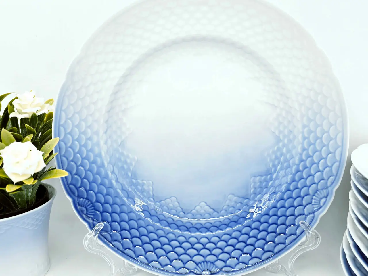 Billede 2 - Blå Tone - Musling Middagstallerken Porcelæn
