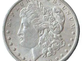 Søger Sølv Amerikanske Dollar