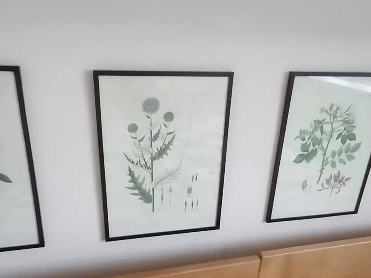 Billede 1 - Originale Flora Danica tryk