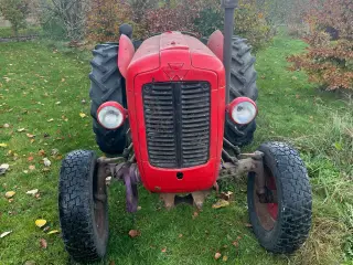 Din Massey Ferguson dele