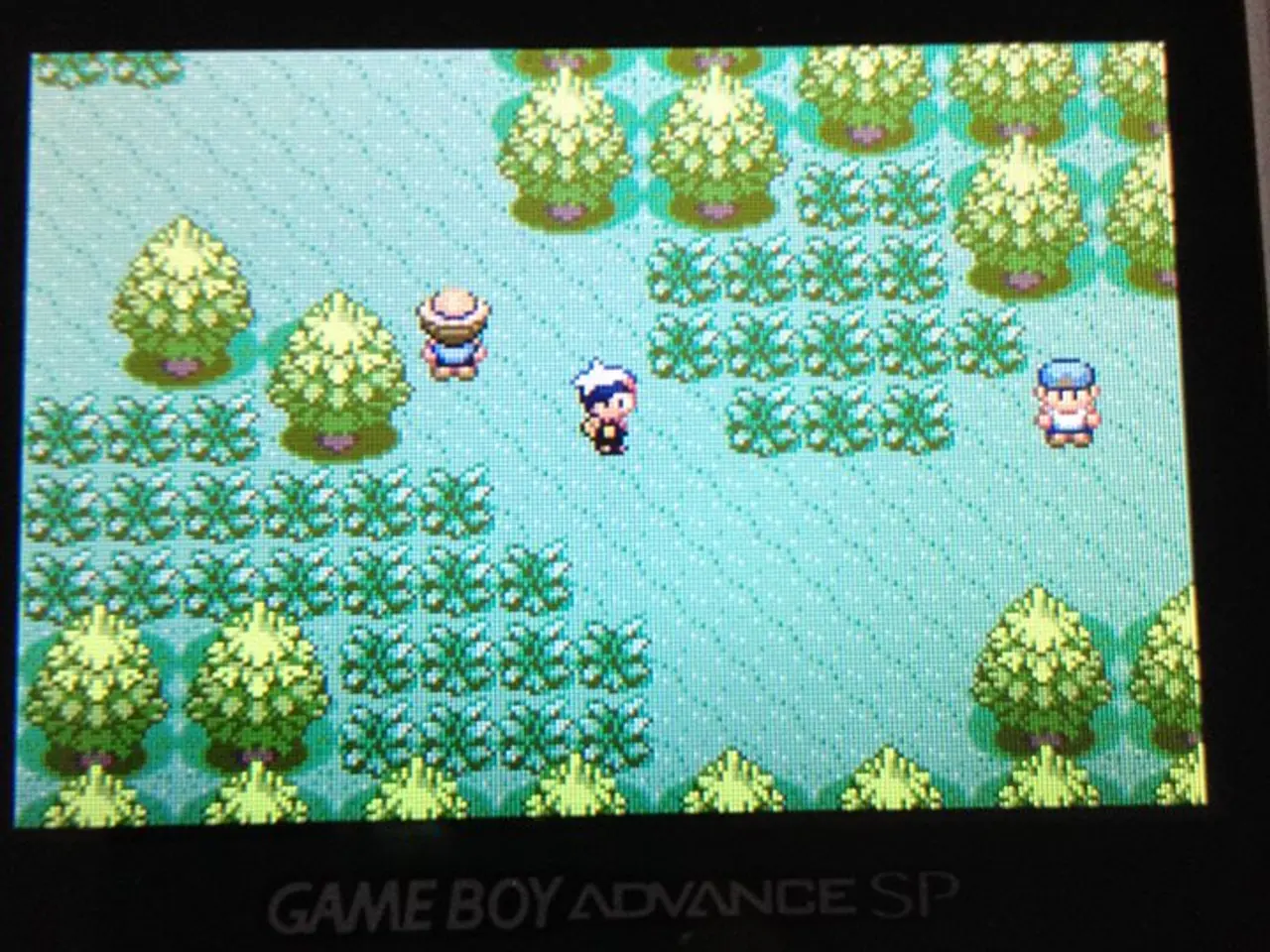 Billede 4 - Pokémon Sapphire Version
