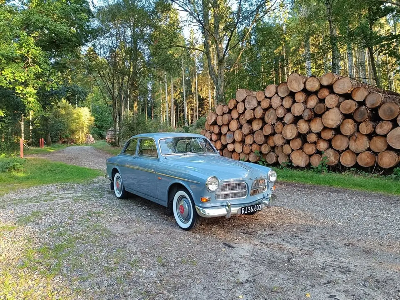 Billede 12 - 1962 Volvo amazon