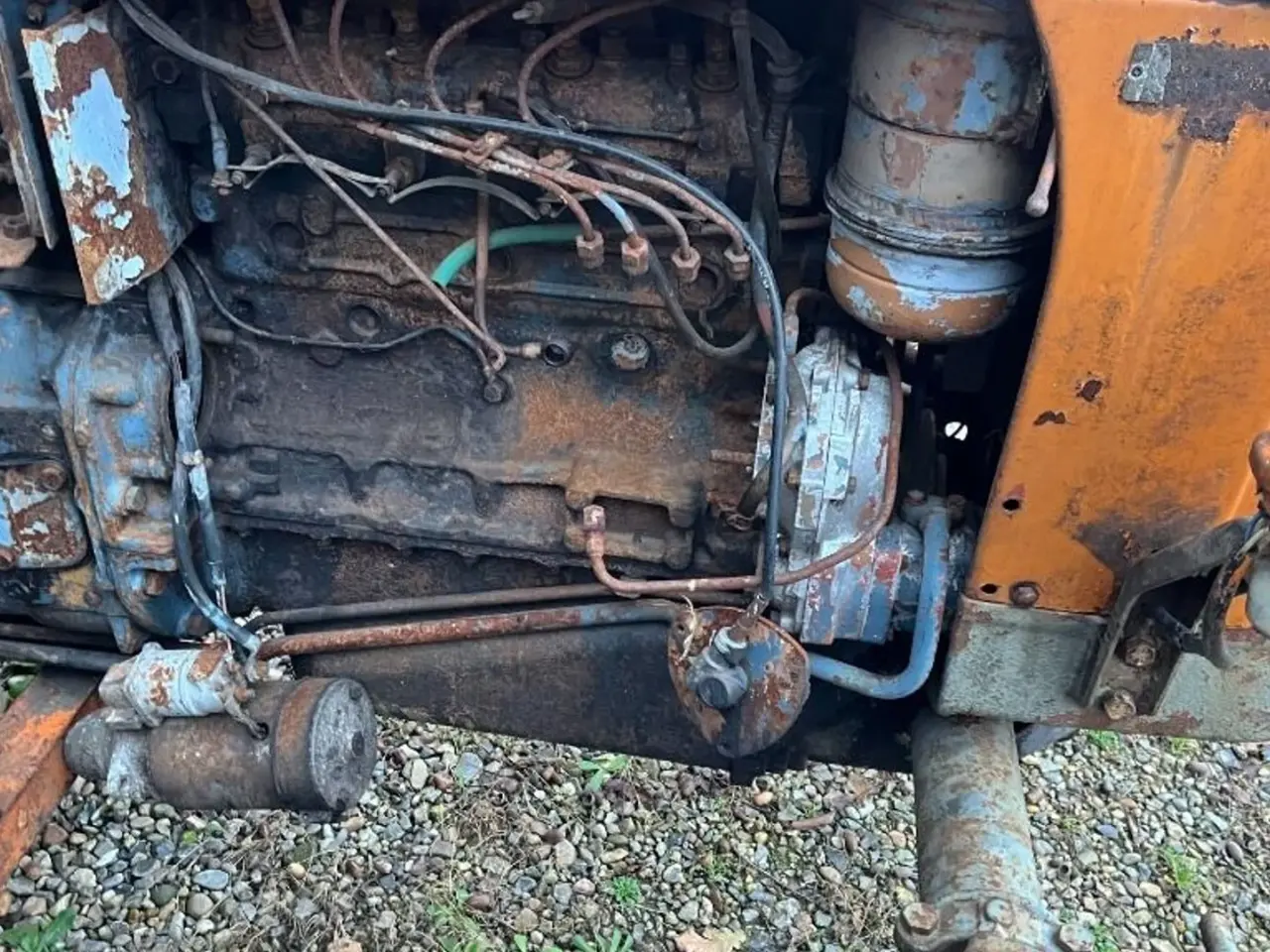 Billede 5 - Fiat Oldtimer traktor Oldtimer traktor