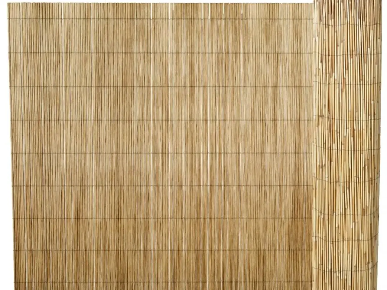 Billede 1 - Sivhegn til haven 100 x 1000 cm