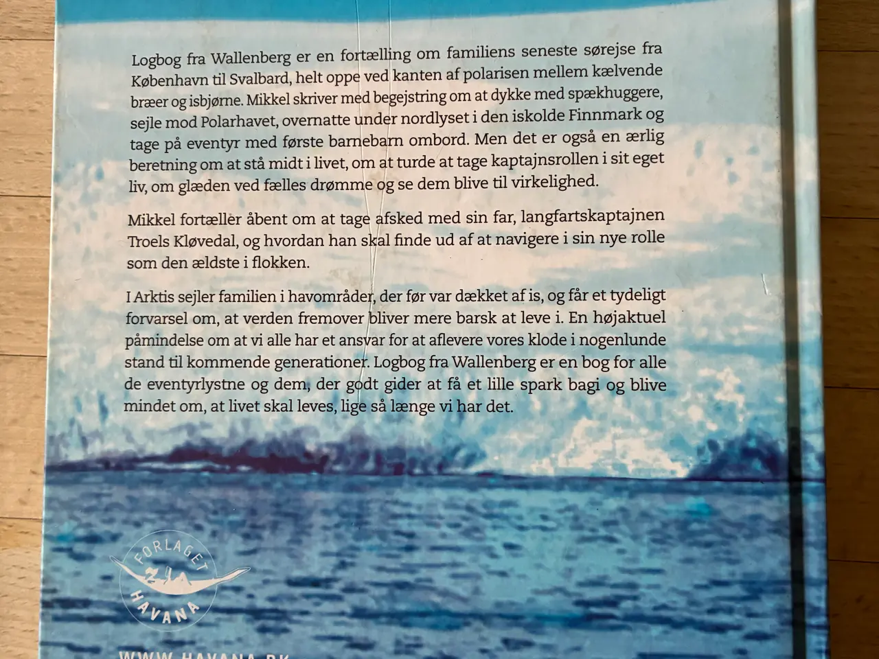 Billede 2 - Logbog fra Wallenberg, Mikkel Beha Erichsen