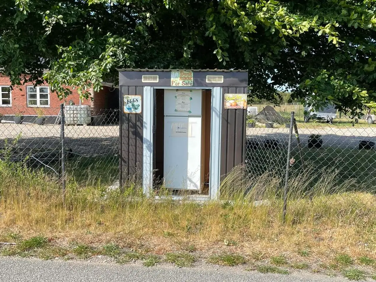 Billede 5 - 10 æg fra mine fritgående høns til salg 6818