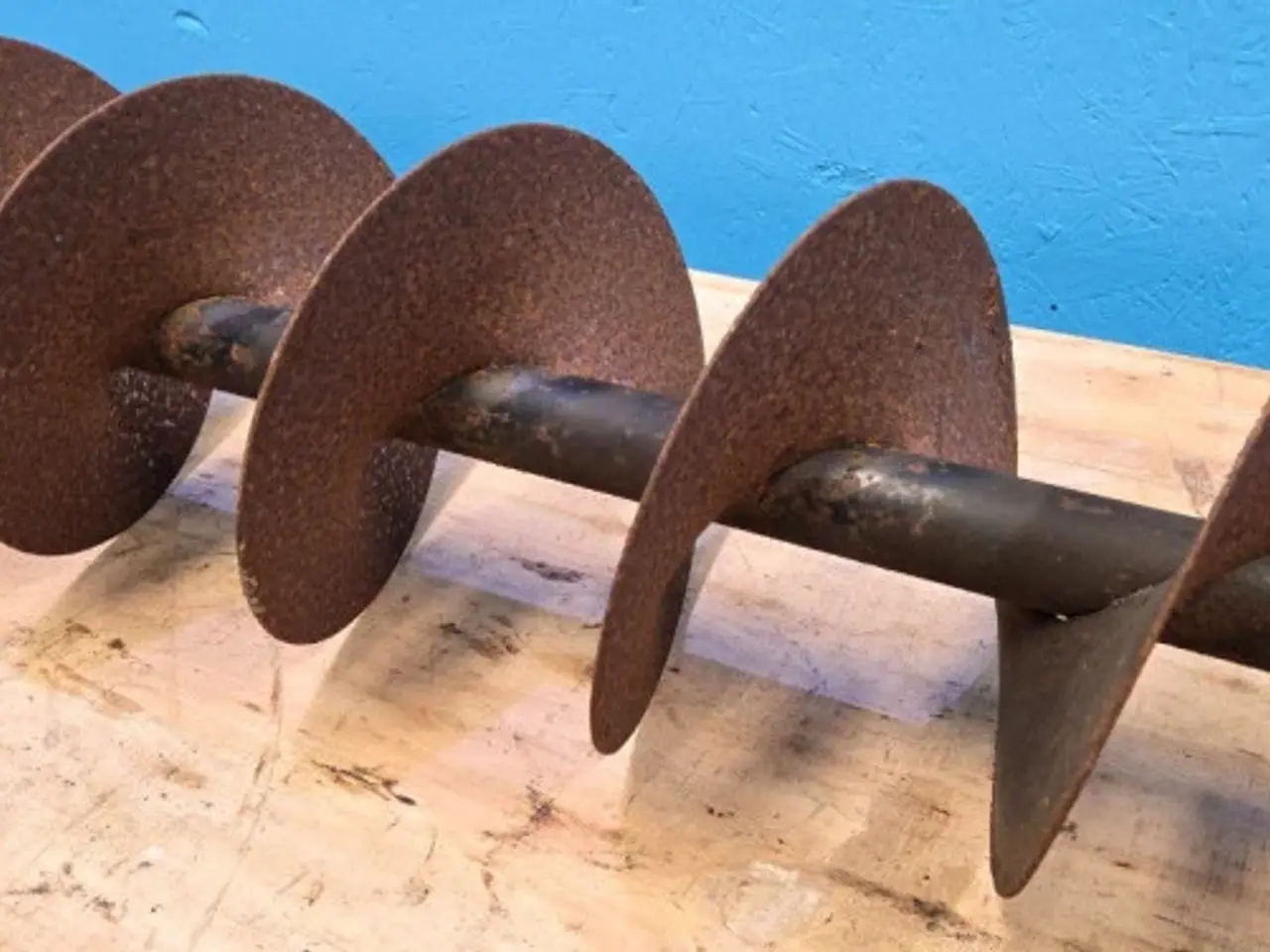 Billede 6 - Massey Ferguson 7256 Fyldesnegl 28585312