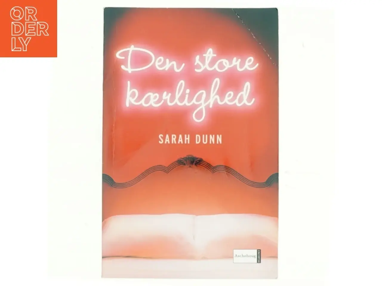 Billede 1 - Den store kærlighed af Sarah Dunn (Bog)