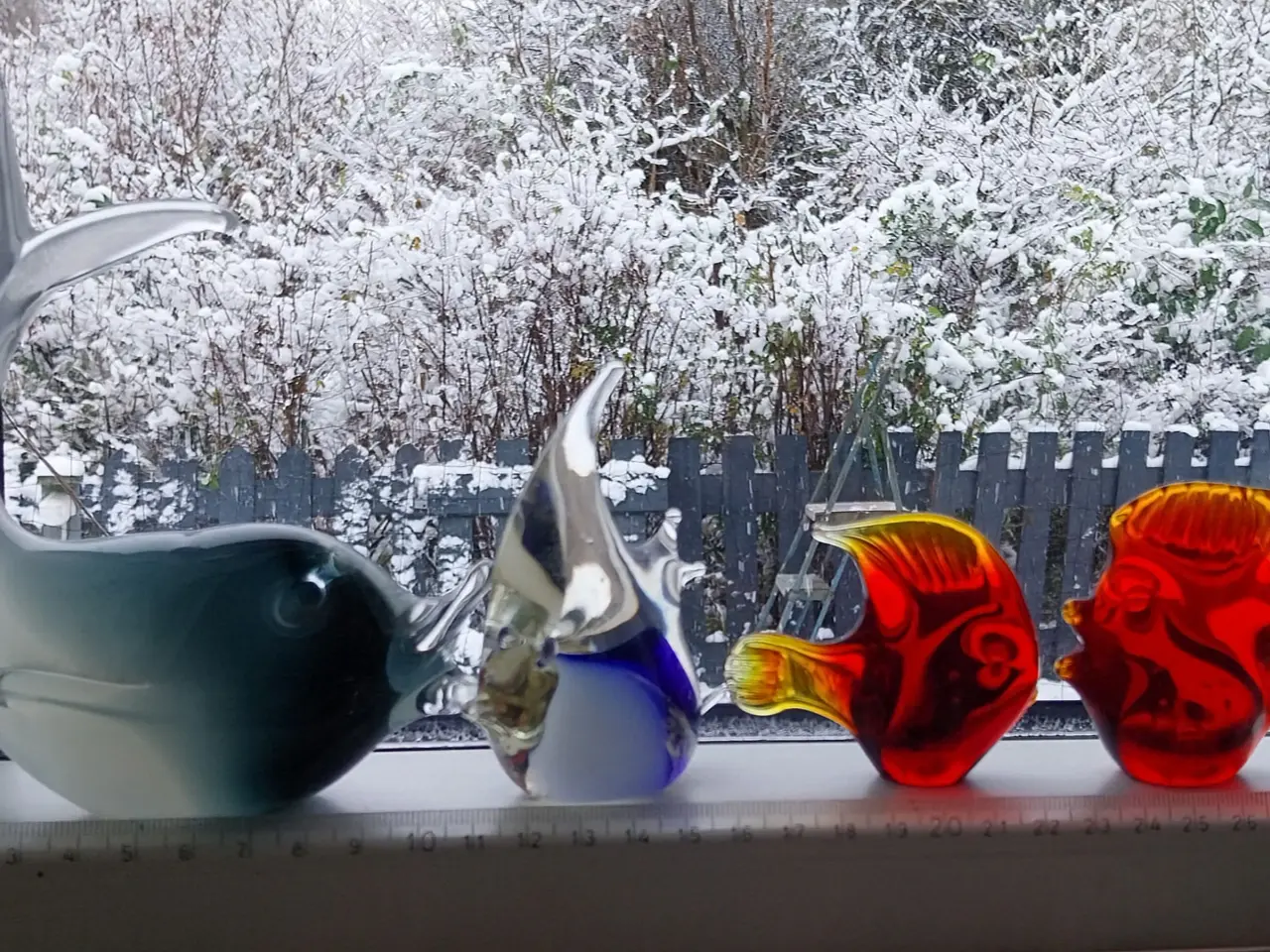 Billede 5 - Glasfisk - Glasfigure