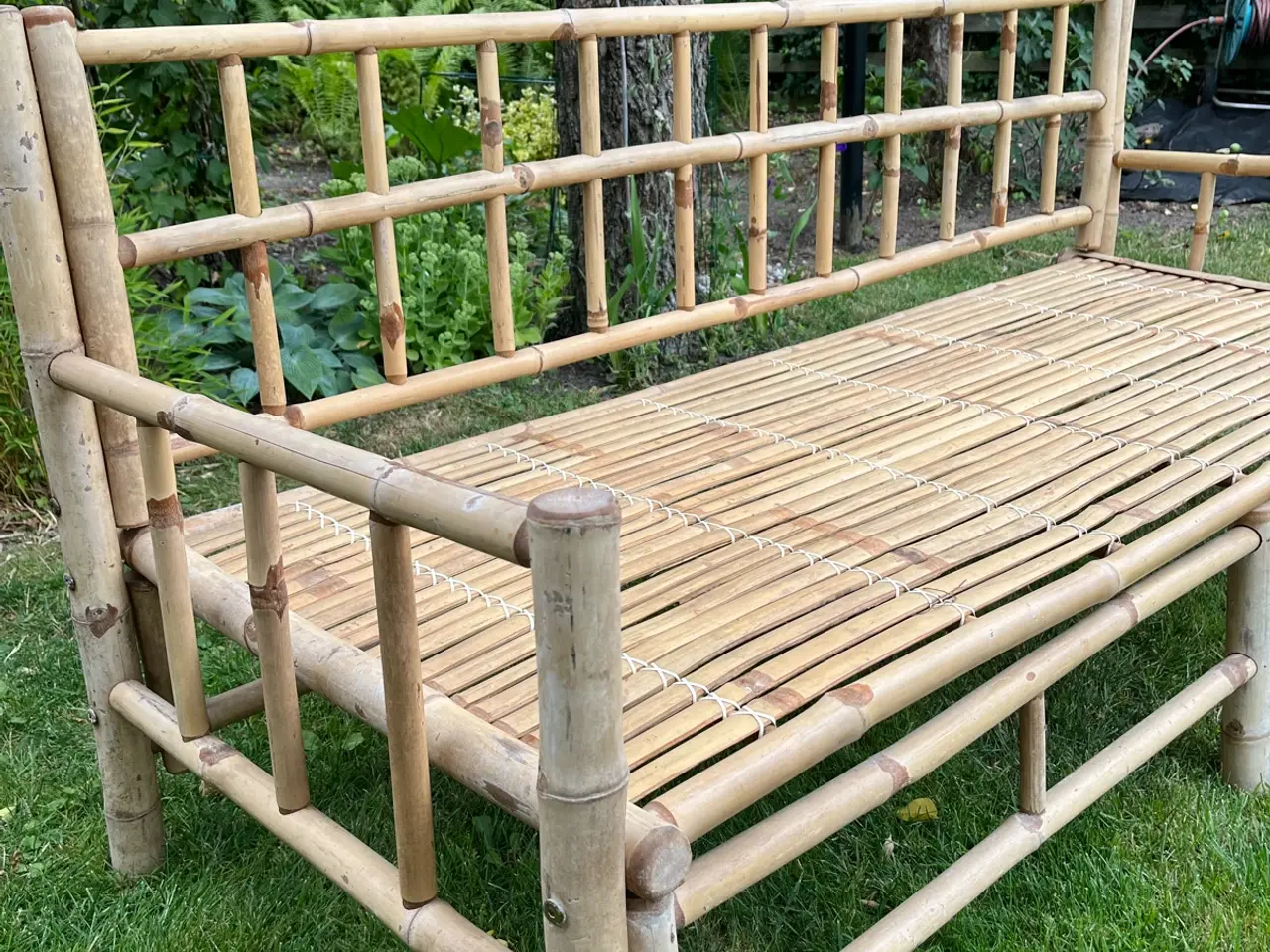 Billede 2 - Bambus  have sofa