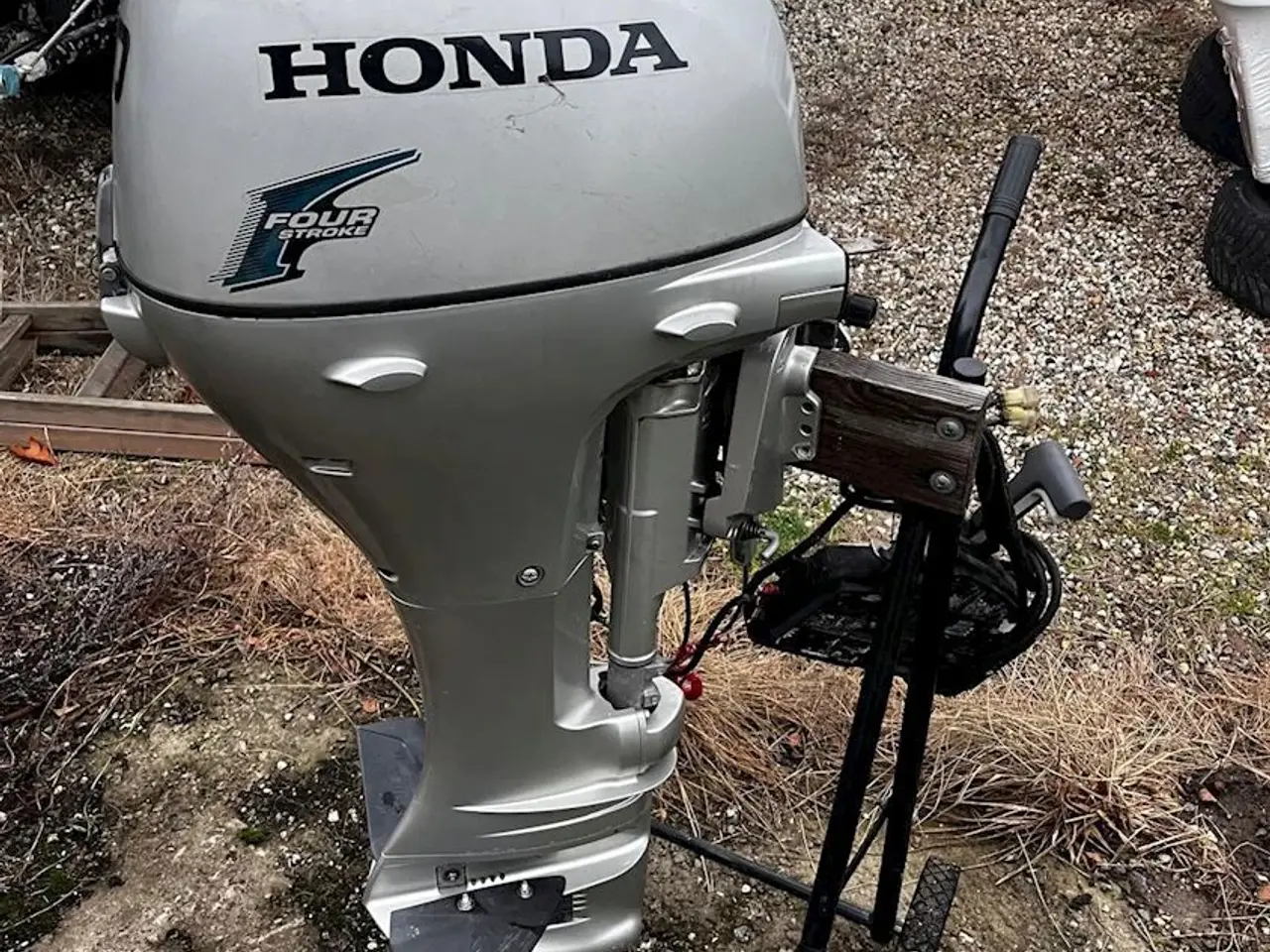 Billede 1 - Honda BF20D