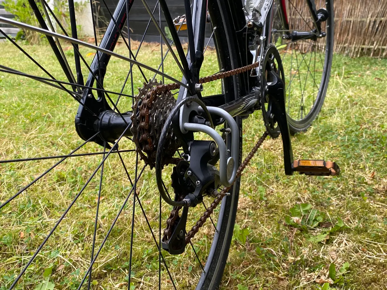 Billede 3 - Batavus CS Supreme damecykel