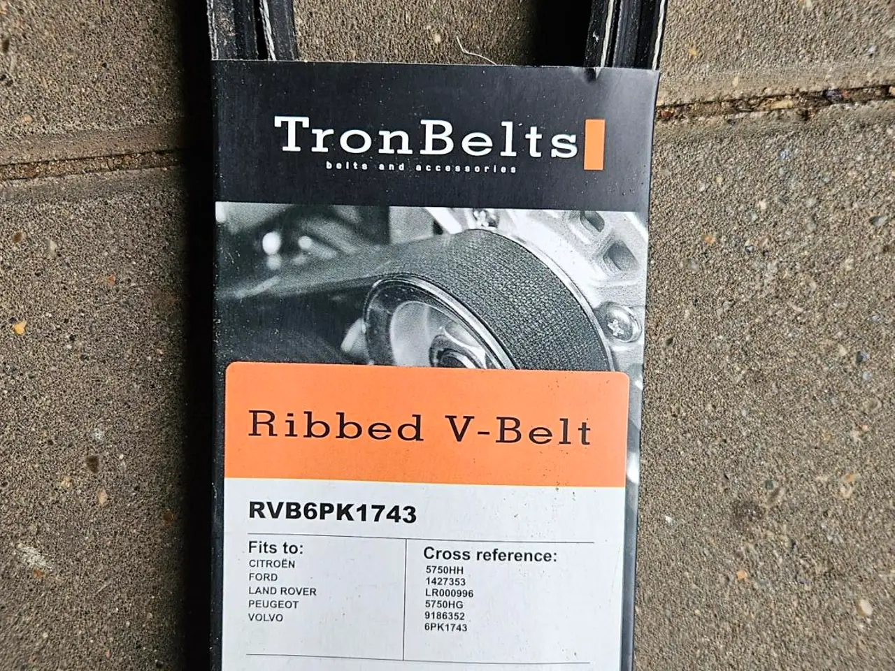 Billede 2 - TronBelts multirem (ribrem)