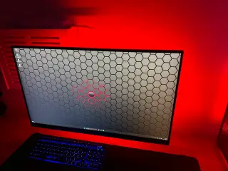 Lg 2560x1440 ips 185hz