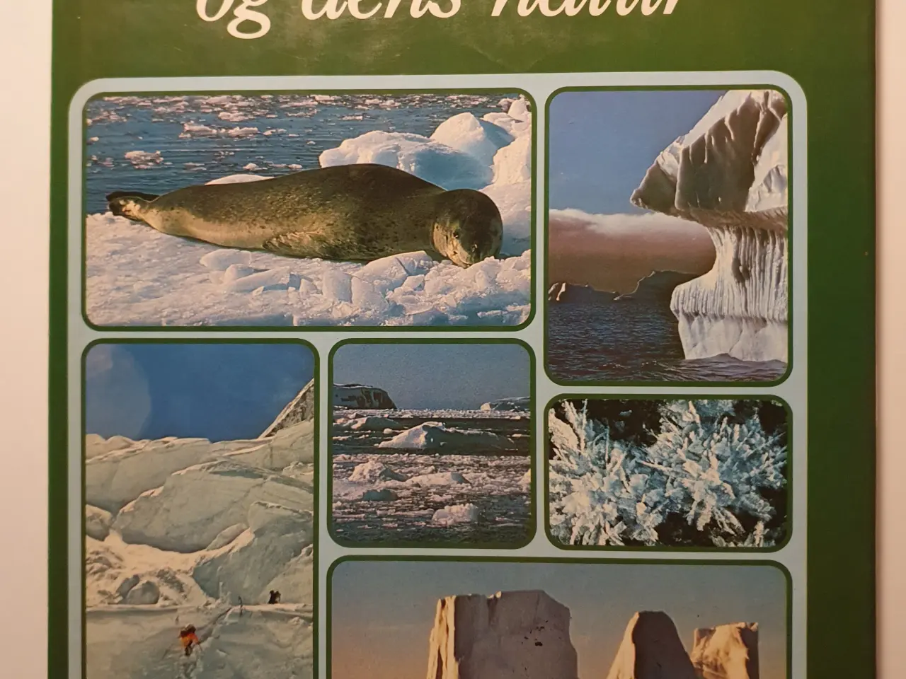 Billede 1 - Isens Verden og dens natur