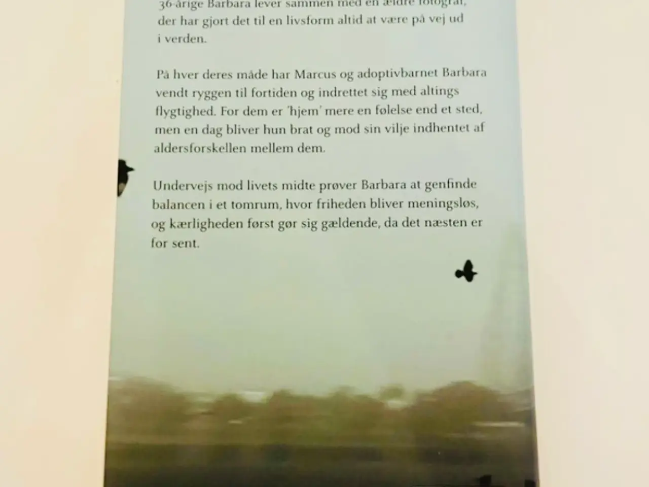 Billede 2 - Før Vi Siger Farvel af Jens Christian Grøndahl