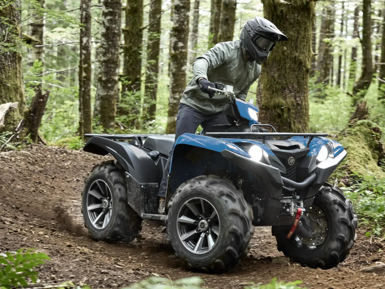 Billede 4 - Yamaha YFM 700 Grizzly EPS SE