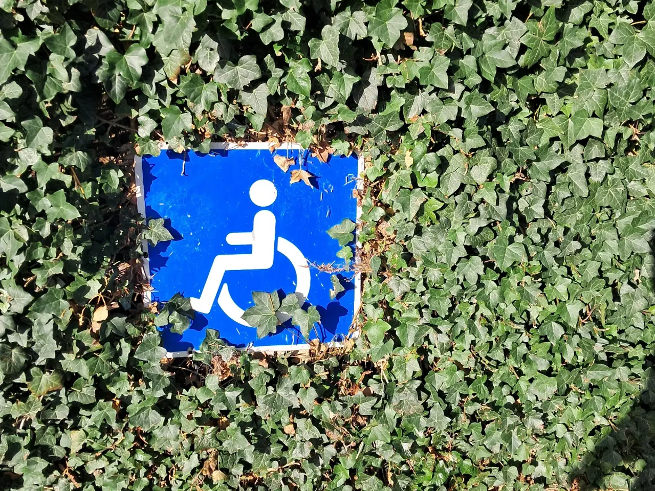 Billede 1 - Handicappakering skilt.