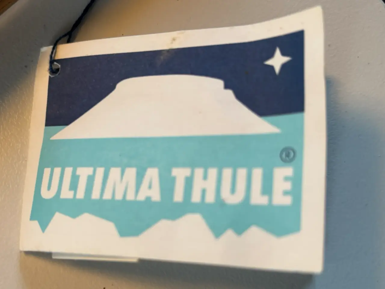 Billede 2 - Grønlandsk hundepiske.