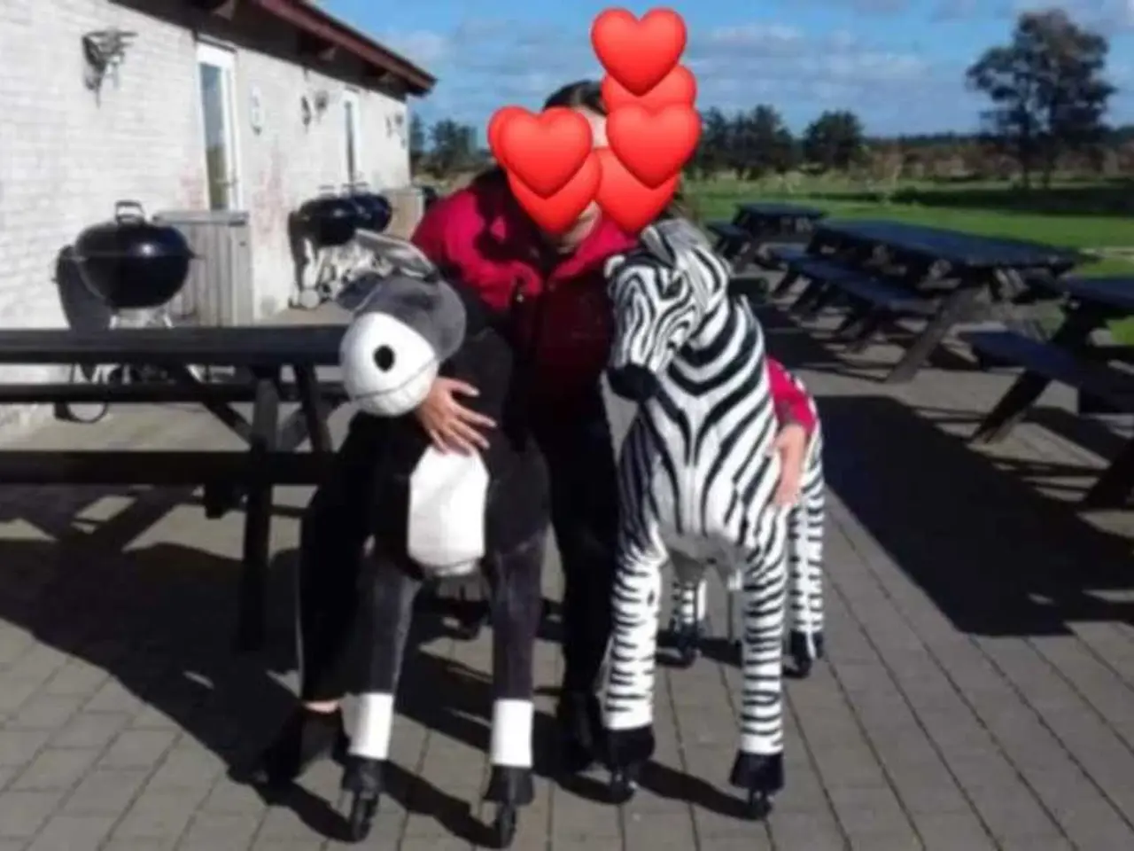 Billede 3 - Fun Animals XL - Æsel & Zebra