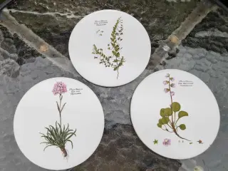 Flora Danica platter
