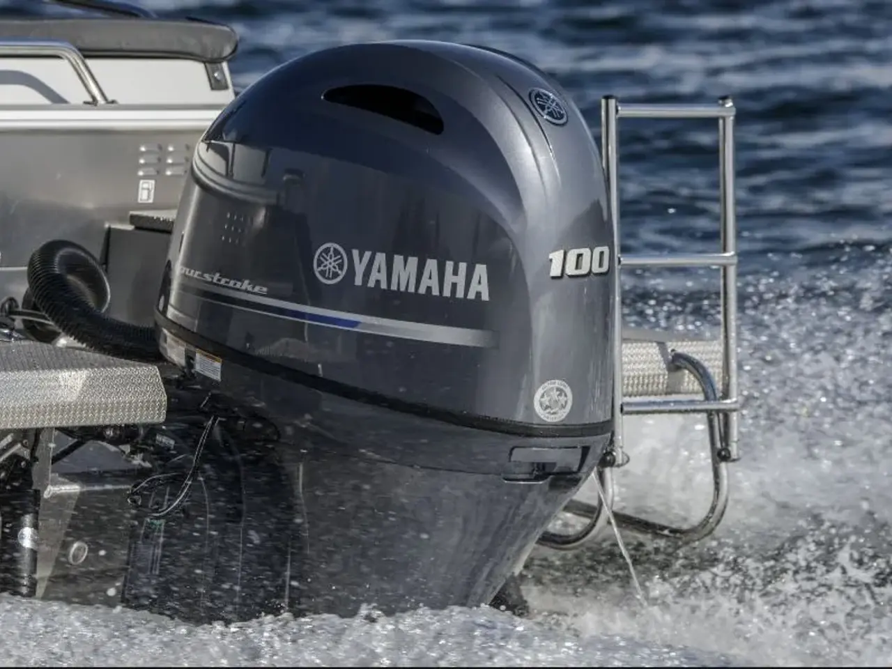 Billede 2 - Yamaha F100