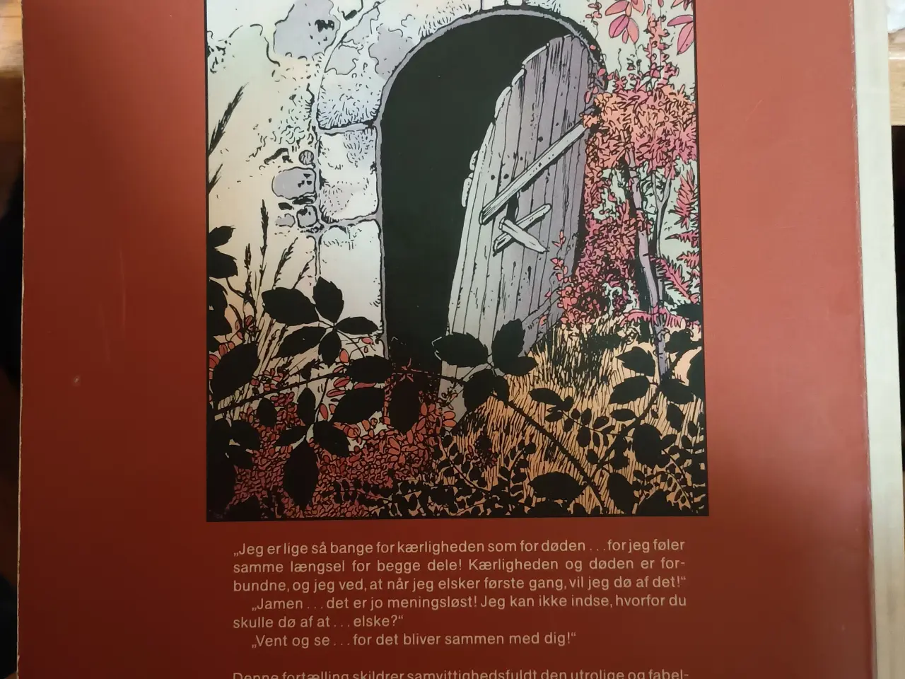 Billede 2 - Den Lille Død.