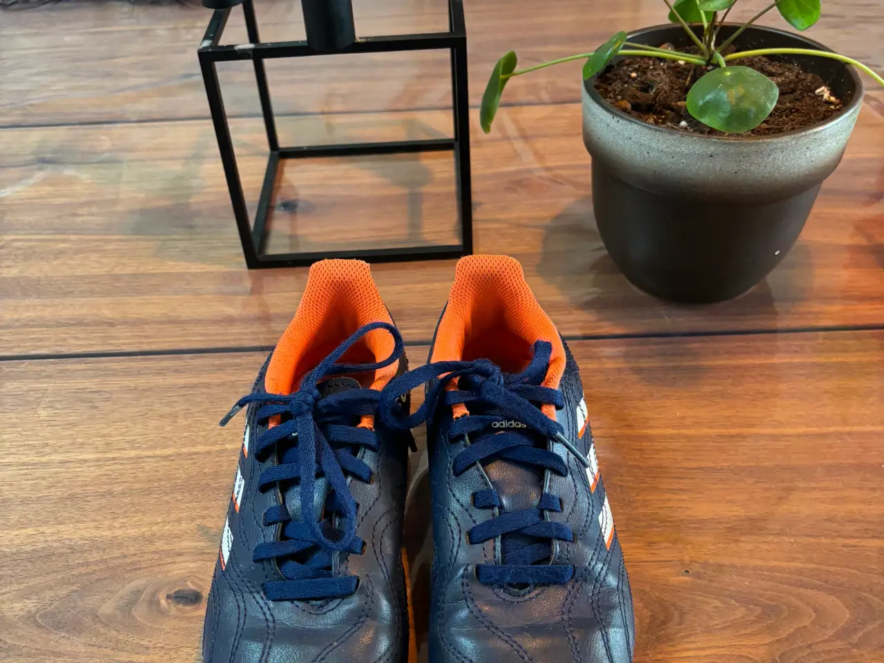 Billede 1 - Adidas fodboldstøvler str 32