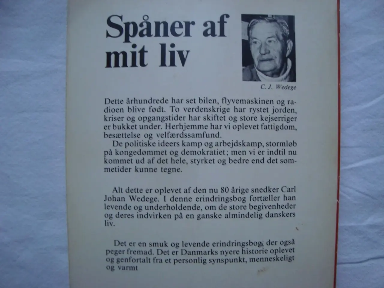 Billede 2 - Spåner af mit liv
