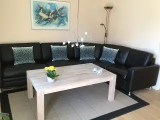 Hjørnesofa+ sofabord i ludbehandlet eg