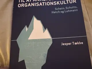 Strategier til at analysere organisationskultur