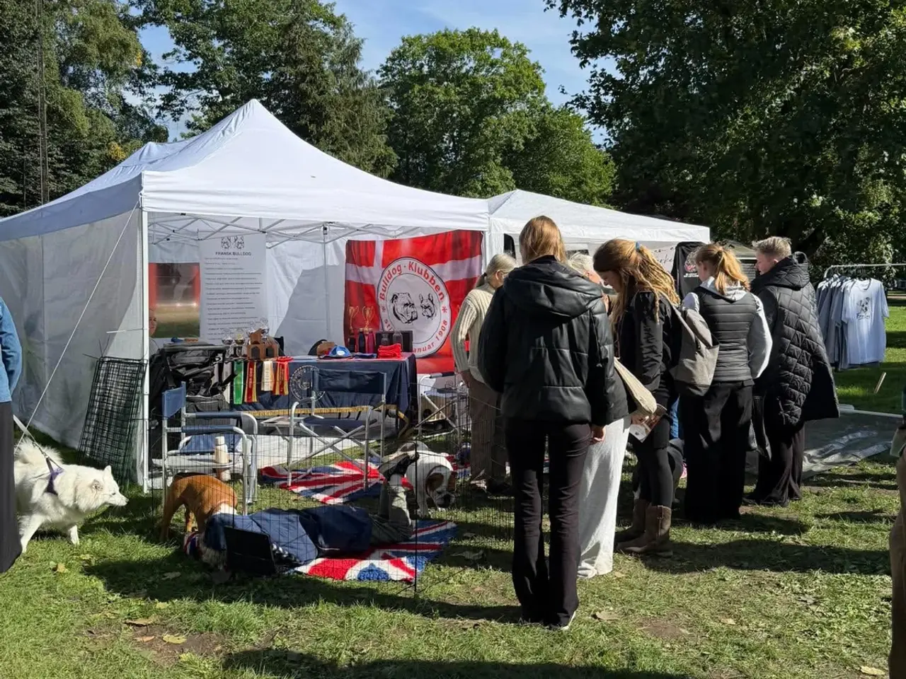 Billede 6 - 🎪 FESTTELT / PAVILLON TIL LEJE – 3 x 6 METER 🎪