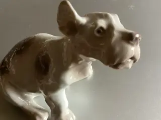 BG Sealyham Hundehvalp
