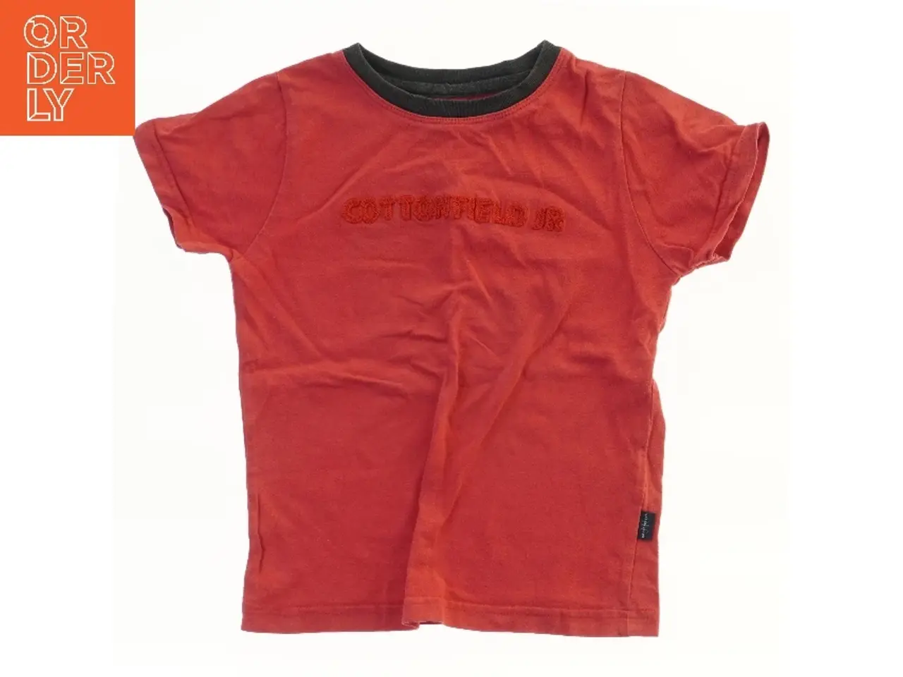 Billede 1 - Børne T-shirt med ørnebillede fra Cottonfield (str. 98)