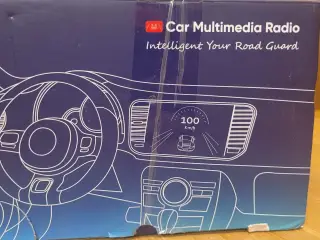 Car- Multimedia Radio
