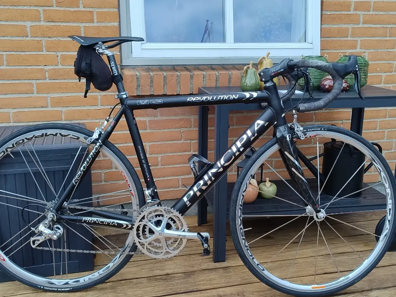 Billede 1 - Velholdt Princibia revulution størrelse 55 cm