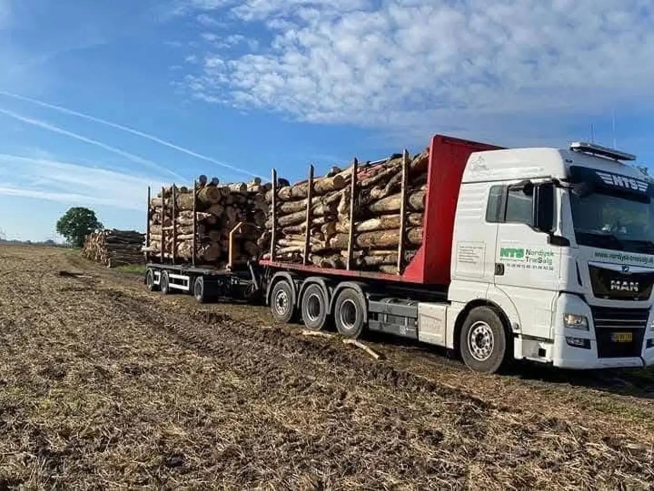 Billede 1 - Bøg i 3 meter stykker