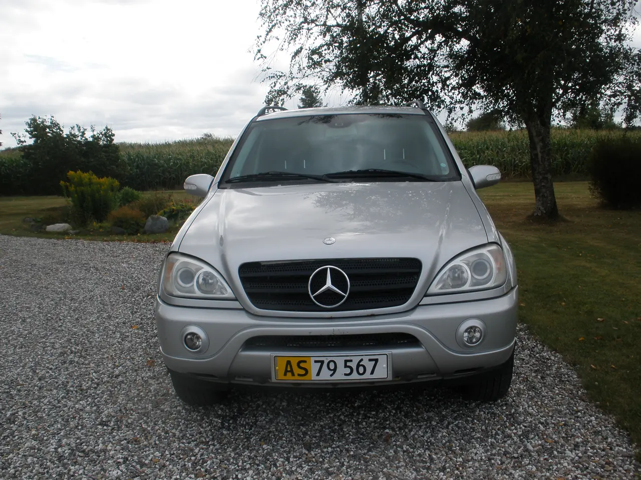 Billede 2 - Mercedes-Benz ML 270 CDI AUT