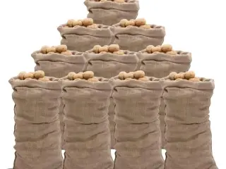 Jutesække 10 stk. 65x135 cm 100 % jute 220 g/m2