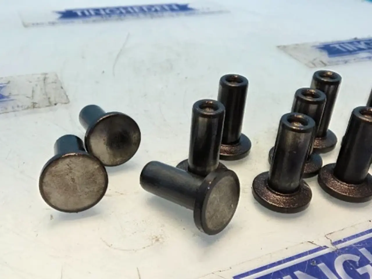 Billede 4 - Case 1620  Ventilløfter  3055052R1   12STK