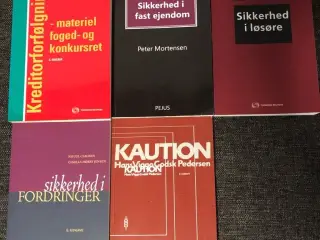 Bøger til Kreditsikring på SDU