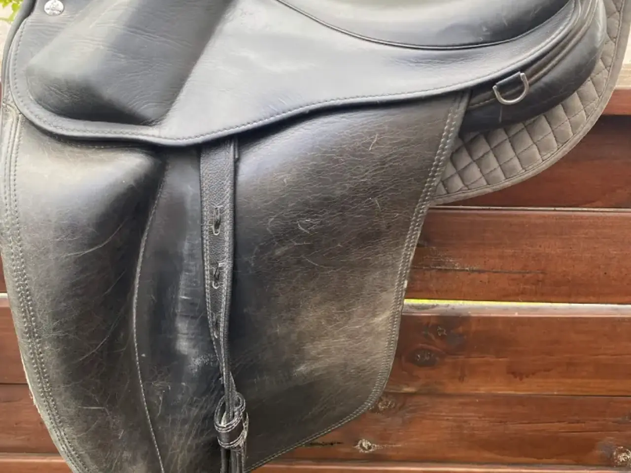 Billede 1 - TOP REITER & Prestige Appaloosa