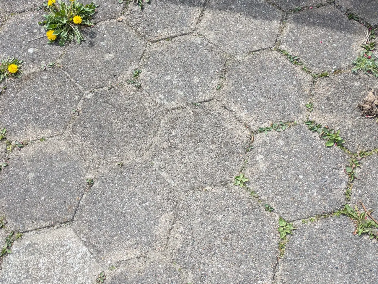Billede 1 - Sekskantede fliser, 250 stk.