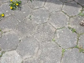 Sekskantede fliser, 250 stk.