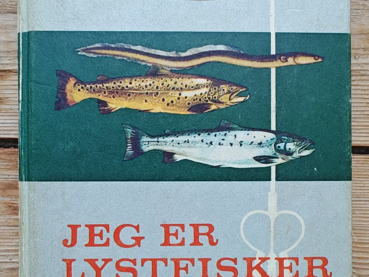 Billede 1 - Jeg er lystfisker BOG