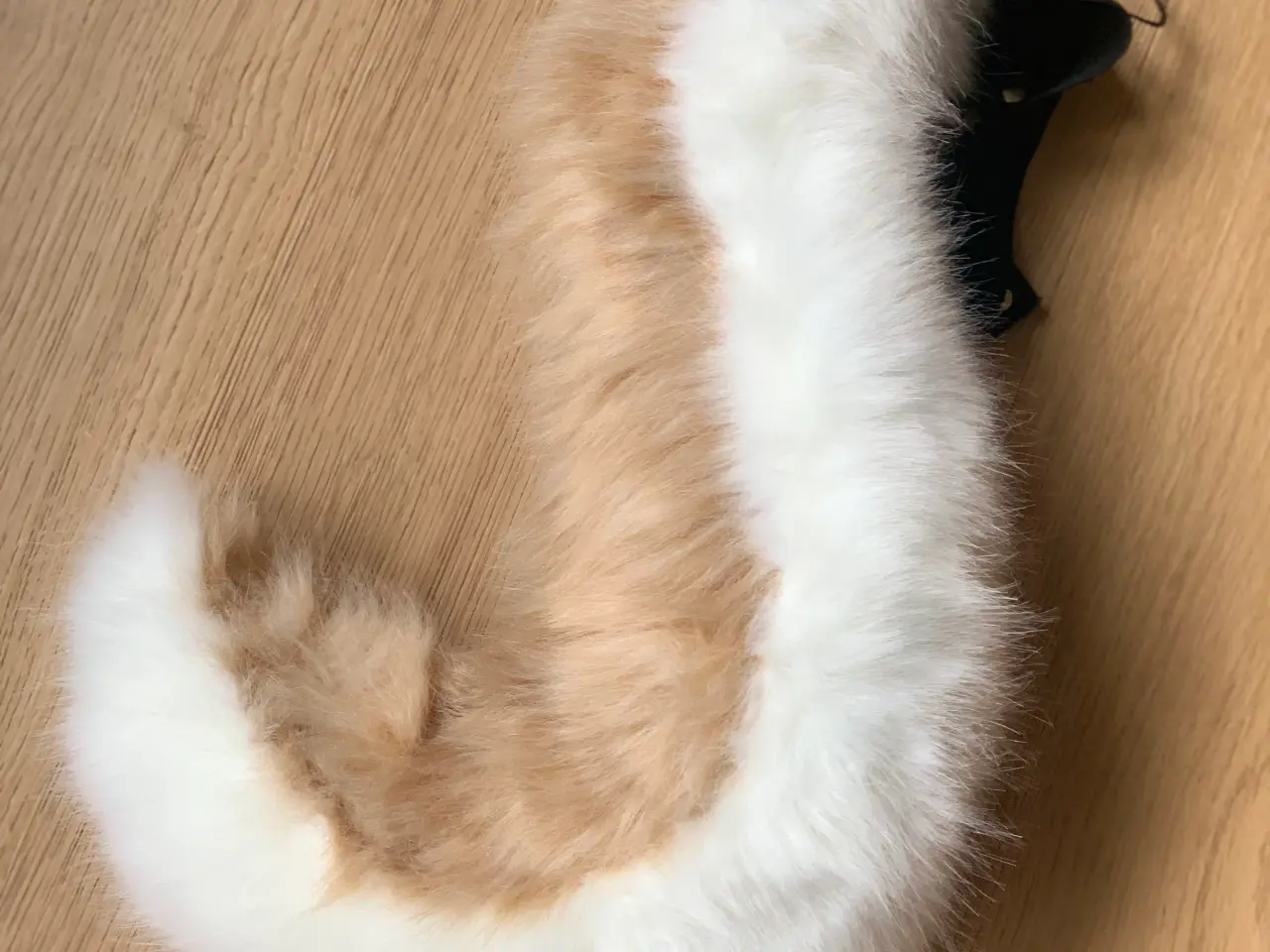 Billede 1 - Furry hale lys brun/hvid