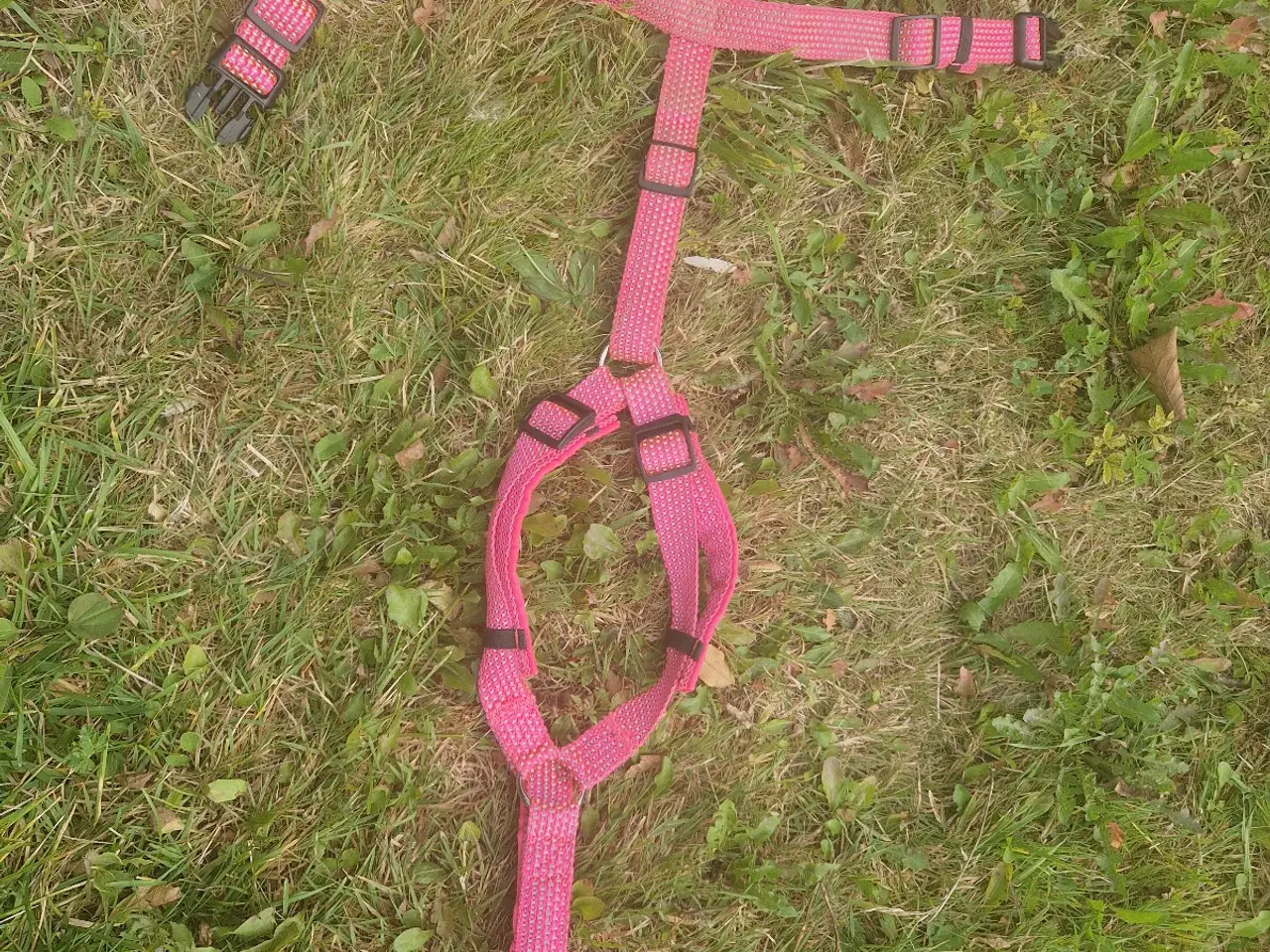 Billede 2 - Kropssele i Pink, med refleks. Str M/L